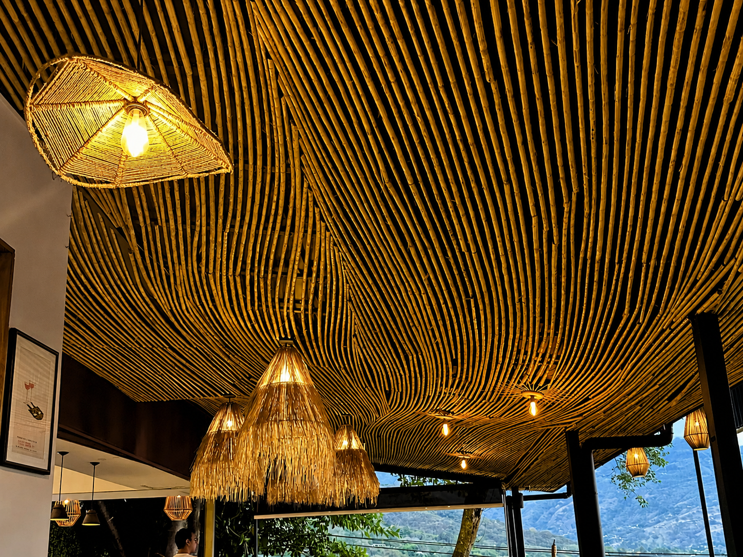 Proyecto Tierra del Café